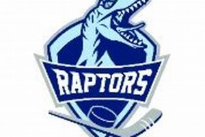 Raptors Ice Hockey: Tips &amp; Training | Your Ultimate Source for Hockey Updates, Training Guides, and Equipment Recommendations