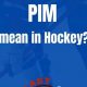 Hockey PIM: What is Penalty Infraction Minutes in NHL? | Your Ultimate Source for Hockey Updates, Training Guides, and Equipment Recommendations