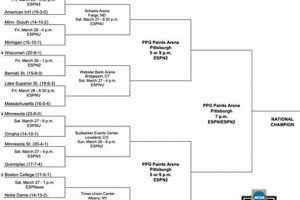 Your Guide: Hockey East Playoff Bracket 2024, Scores & More | Your Ultimate Source for Hockey Updates, Training Guides, and Equipment Recommendations
