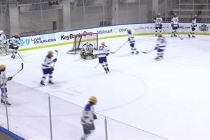 WNY Fed Hockey Guide: League Info, Teams & More! | Your Ultimate Source for Hockey Updates, Training Guides, and Equipment Recommendations