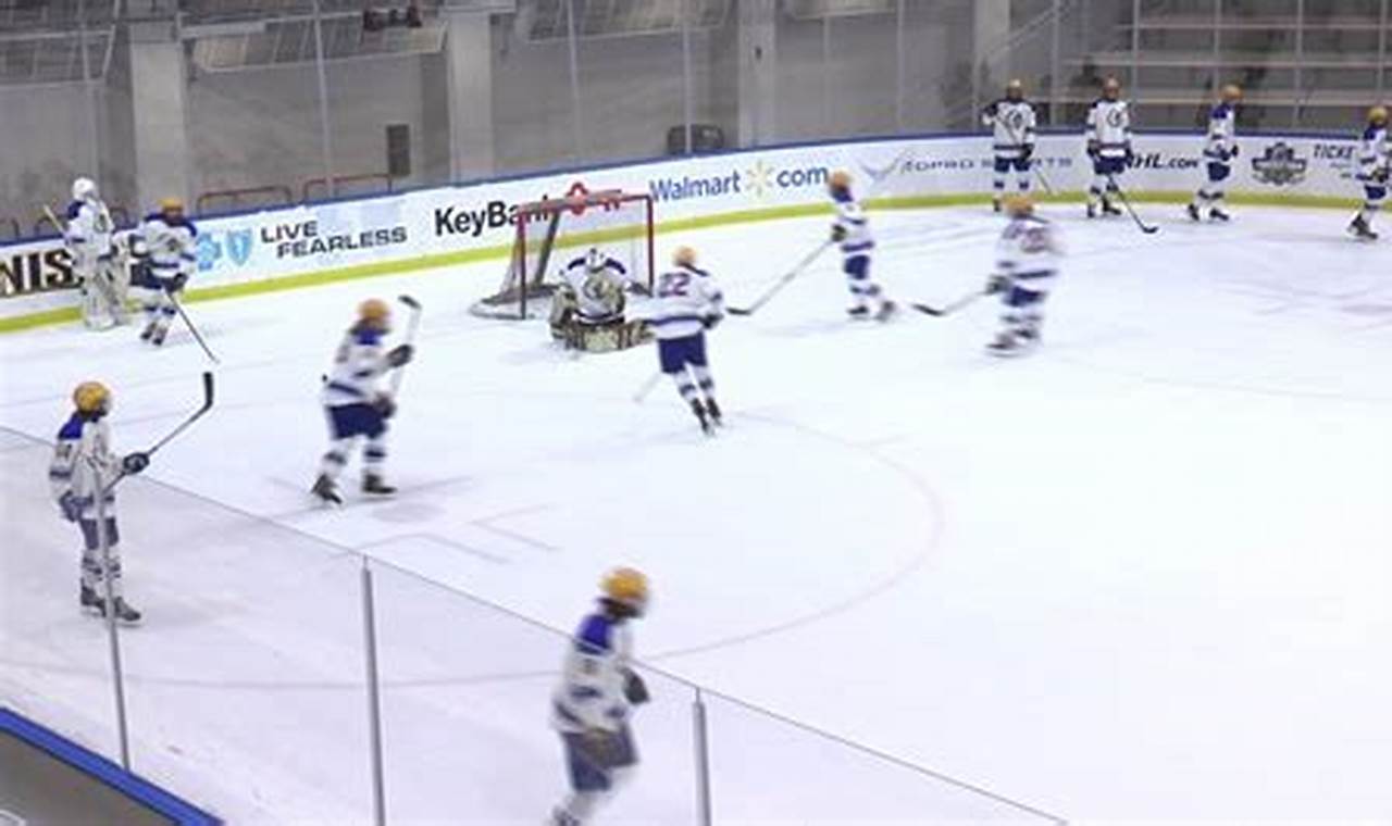 WNY Fed Hockey Guide: League Info, Teams & More! | Your Ultimate Source for Hockey Updates, Training Guides, and Equipment Recommendations