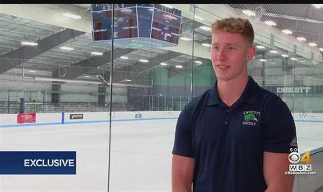 Your Guide to Endicott Hockey: Program & More | Your Ultimate Source for Hockey Updates, Training Guides, and Equipment Recommendations