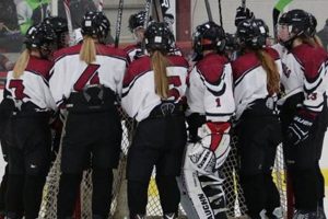 Fairmont Youth Hockey: Start Your Hockey Journey Here! Your Ultimate Source for Hockey Updates, Training Guides, and Equipment Recommendations Fairmont Youth Hockey: Start Your Hockey Journey Here! | Your Ultimate Source for Hockey Updates, Training Guides, and Equipment Recommendations