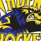Wadena Youth Hockey: Skills, Teams, &amp; Community | Your Ultimate Source for Hockey Updates, Training Guides, and Equipment Recommendations