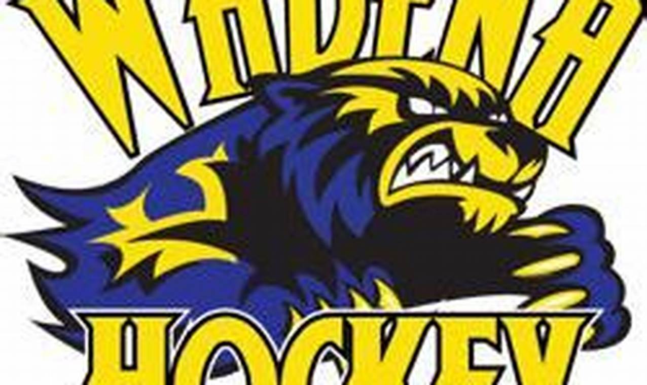 Wadena Youth Hockey: Skills, Teams, &amp; Community | Your Ultimate Source for Hockey Updates, Training Guides, and Equipment Recommendations