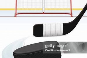 Essential Hockey Goal Component Guide + Tips! | Your Ultimate Source for Hockey Updates, Training Guides, and Equipment Recommendations
