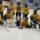 Boost Skills: Barron Chetek Youth Hockey Programs | Your Ultimate Source for Hockey Updates, Training Guides, and Equipment Recommendations