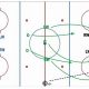 Top Ice Hockey Defensive Drills: Skills + Strategies | Your Ultimate Source for Hockey Updates, Training Guides, and Equipment Recommendations