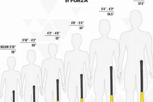 The Right 38 Inch Field Hockey Stick: Size & Performance | Your Ultimate Source for Hockey Updates, Training Guides, and Equipment Recommendations