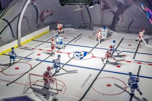 Epic Ice Hockey Dome Game: Spectacle on Ice! | Your Ultimate Source for Hockey Updates, Training Guides, and Equipment Recommendations