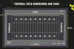 Buy Field Hockey Nets Today - Durable & Regulation! | Your Ultimate Source for Hockey Updates, Training Guides, and Equipment Recommendations