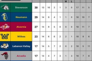 Latest MAC Hockey Standings: Scores, News & Analysis | Your Ultimate Source for Hockey Updates, Training Guides, and Equipment Recommendations