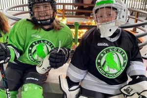 Empowering: Lady Cyclones Hockey - Skills & Victories! | Your Ultimate Source for Hockey Updates, Training Guides, and Equipment Recommendations