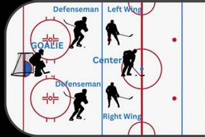 Ice Hockey 101: How Many Players in Ice Hockey? | Your Ultimate Source for Hockey Updates, Training Guides, and Equipment Recommendations