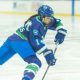 James Reyes: Ducks Hockey Star? More Than Just a Fan! | Your Ultimate Source for Hockey Updates, Training Guides, and Equipment Recommendations
