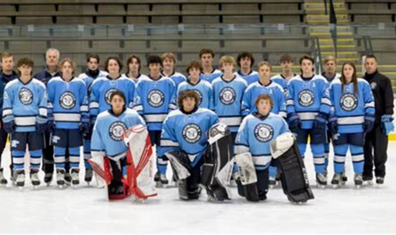 Best Westminster Hockey: Teams, News & More! | Your Ultimate Source for Hockey Updates, Training Guides, and Equipment Recommendations