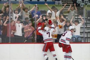 Unleash the Roar: Ice Hockey Cheers & More! | Your Ultimate Source for Hockey Updates, Training Guides, and Equipment Recommendations