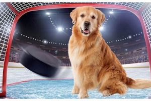Top Hockey Dog Names: Icy Pups! | Your Ultimate Source for Hockey Updates, Training Guides, and Equipment Recommendations