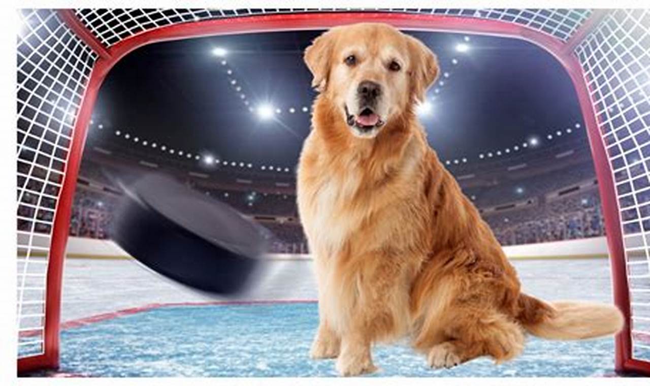 Top Hockey Dog Names: Icy Pups! | Your Ultimate Source for Hockey Updates, Training Guides, and Equipment Recommendations