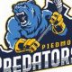 Piedmont Predators Ice Hockey: Local Hockey Excellence | Your Ultimate Source for Hockey Updates, Training Guides, and Equipment Recommendations