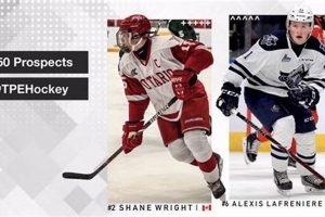TPE Hockey Gear: Enhance Your Game with TPE Tech | Your Ultimate Source for Hockey Updates, Training Guides, and Equipment Recommendations