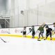 Top Hockey Clinics Near You: Skills & Drills! | Your Ultimate Source for Hockey Updates, Training Guides, and Equipment Recommendations