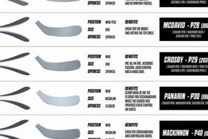 Warrior Curve Chart: Pick Your Perfect Hockey Stick | Your Ultimate Source for Hockey Updates, Training Guides, and Equipment Recommendations