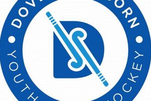 Dover Sherborn Hockey: High School Ice Hockey Guide Your Ultimate Source for Hockey Updates, Training Guides, and Equipment Recommendations Dover Sherborn Hockey: High School Ice Hockey Guide | Your Ultimate Source for Hockey Updates, Training Guides, and Equipment Recommendations