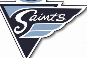 Ramapo Saints Ice Hockey: NJ College Ice Action! | Your Ultimate Source for Hockey Updates, Training Guides, and Equipment Recommendations