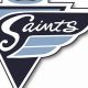 Ramapo Saints Ice Hockey: NJ College Ice Action! | Your Ultimate Source for Hockey Updates, Training Guides, and Equipment Recommendations