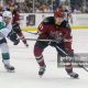 Guide to Texas Roadrunners Hockey | Tucson's Team | Your Ultimate Source for Hockey Updates, Training Guides, and Equipment Recommendations