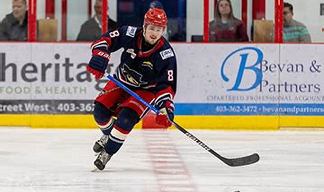 Conor Ryan Hockey: Star's Impact & Future | Your Ultimate Source for Hockey Updates, Training Guides, and Equipment Recommendations