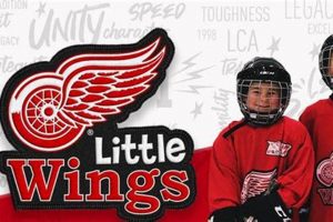 Discover Little Wings Hockey: Youth Hockey Fun! | Your Ultimate Source for Hockey Updates, Training Guides, and Equipment Recommendations