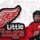 Discover Little Wings Hockey: Youth Hockey Fun! | Your Ultimate Source for Hockey Updates, Training Guides, and Equipment Recommendations