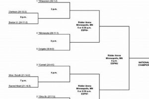 Northeastern Womens Hockey Schedule: Dates &amp; More! | Your Ultimate Source for Hockey Updates, Training Guides, and Equipment Recommendations