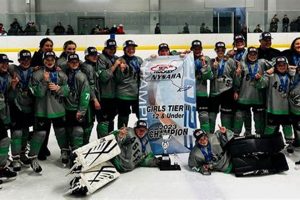 Your Guide to Malone Youth Hockey | Teams & More | Your Ultimate Source for Hockey Updates, Training Guides, and Equipment Recommendations