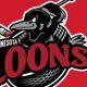 MN Loons Hockey: News, Scores & More! | Your Ultimate Source for Hockey Updates, Training Guides, and Equipment Recommendations