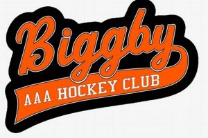 Your Guide to Biggby AAA Hockey: Teams, Training, & More | Your Ultimate Source for Hockey Updates, Training Guides, and Equipment Recommendations