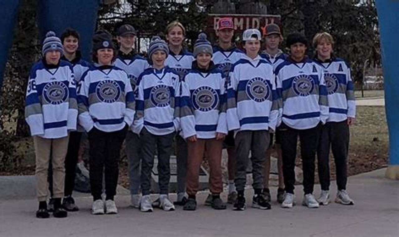 Guide to MN Youth Hockey Regions: Zones & More Your Ultimate Source for Hockey Updates, Training Guides, and Equipment Recommendations Guide to MN Youth Hockey Regions: Zones & More | Your Ultimate Source for Hockey Updates, Training Guides, and Equipment Recommendations