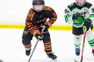 Viking Hockey: Club News, Scores & More! | Your Ultimate Source for Hockey Updates, Training Guides, and Equipment Recommendations
