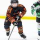 Viking Hockey: Club News, Scores & More! | Your Ultimate Source for Hockey Updates, Training Guides, and Equipment Recommendations