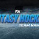 Coolest Best Hockey Team Names Fantasy Ideas &amp; Generators | Your Ultimate Source for Hockey Updates, Training Guides, and Equipment Recommendations