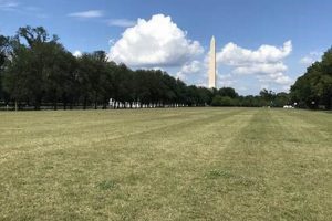 Your Guide to JFK Hockey Fields | Play Today! Your Ultimate Source for Hockey Updates, Training Guides, and Equipment Recommendations Your Guide to JFK Hockey Fields | Play Today! | Your Ultimate Source for Hockey Updates, Training Guides, and Equipment Recommendations