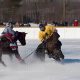 What is a Hockey Horse? Skill & Grit on Ice | Your Ultimate Source for Hockey Updates, Training Guides, and Equipment Recommendations