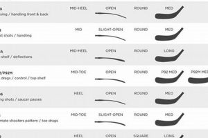 Understanding the Hockey Stick Curve Chart Pattern: A Key Analysis | Your Ultimate Source for Hockey Updates, Training Guides, and Equipment Recommendations