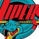 Vipers Ice Hockey: Dominate the Ice | [Team Name] | Your Ultimate Source for Hockey Updates, Training Guides, and Equipment Recommendations