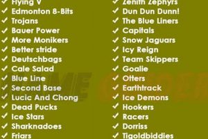 Best Hockey Team Name Ideas: Find Your Perfect Team Name Your Ultimate Source for Hockey Updates, Training Guides, and Equipment Recommendations Best Hockey Team Name Ideas: Find Your Perfect Team Name | Your Ultimate Source for Hockey Updates, Training Guides, and Equipment Recommendations