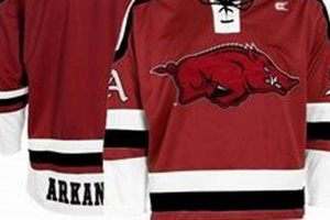 Shop Arkansas Hockey Jersey Now! Authentic Team Gear | Your Ultimate Source for Hockey Updates, Training Guides, and Equipment Recommendations