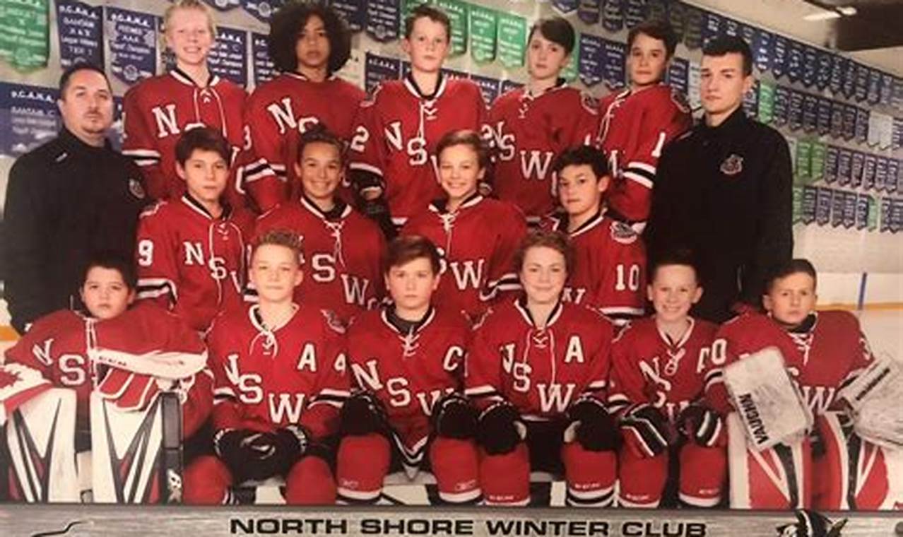 NHL in Arizona? Could Arizona Get Another Hockey Team? | Your Ultimate Source for Hockey Updates, Training Guides, and Equipment Recommendations