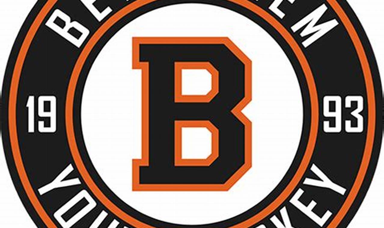 Your Bethlehem Youth Hockey Advantage: Programs & Teams | Your Ultimate Source for Hockey Updates, Training Guides, and Equipment Recommendations